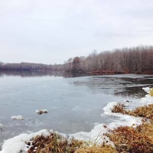 Meet your Posher, Bartholomew